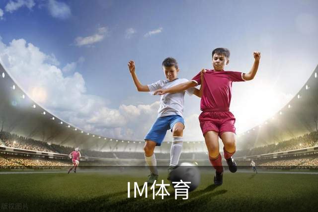 IM体育团队与办公环境